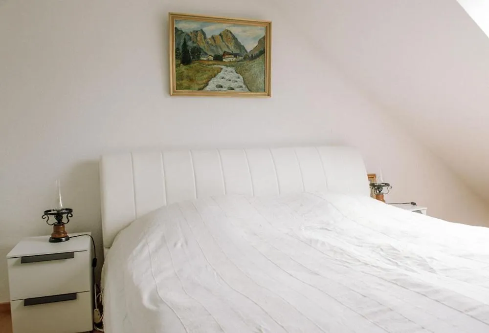 Ferienwohnung Prof. Dehmer Zell im Fichtelgebirge Apartment
