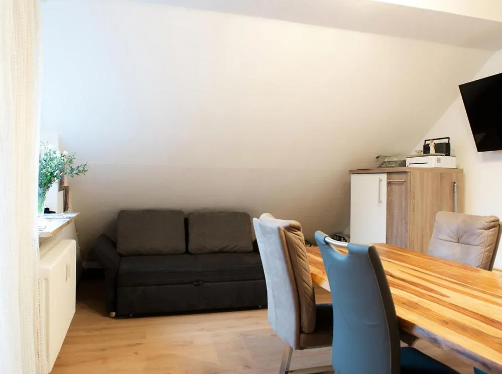 Ferienwohnung Prof. Dehmer Zell im Fichtelgebirge 0*,  Germany